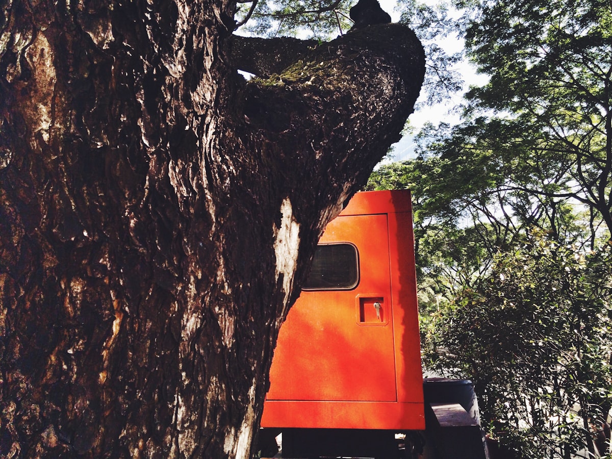 Lancaster's Lawncare & Tree Service